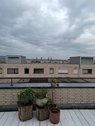 1000069899 (1).jpg